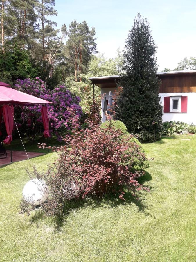 Ferienhaus Am Langen See Heidesee 外观 照片